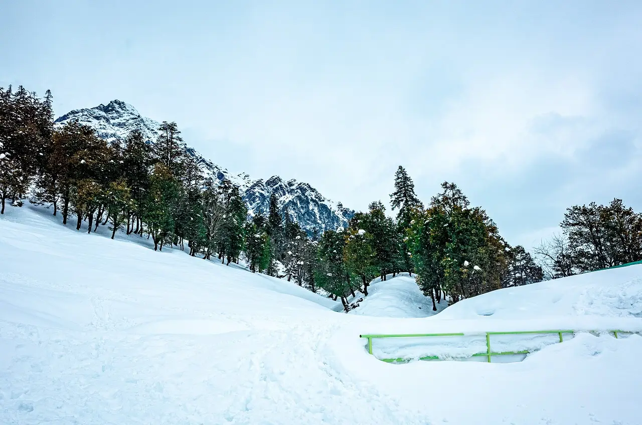 manali, himachal pradesh, himalayas-4819132.jpg